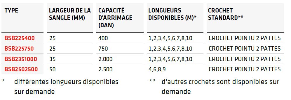 Bande d'arrimage en 2 pièces avec crochet pointu 2 pattes