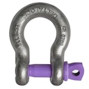 DELTALOCK Screw pin anchor shackle DELTA 1T to 35T