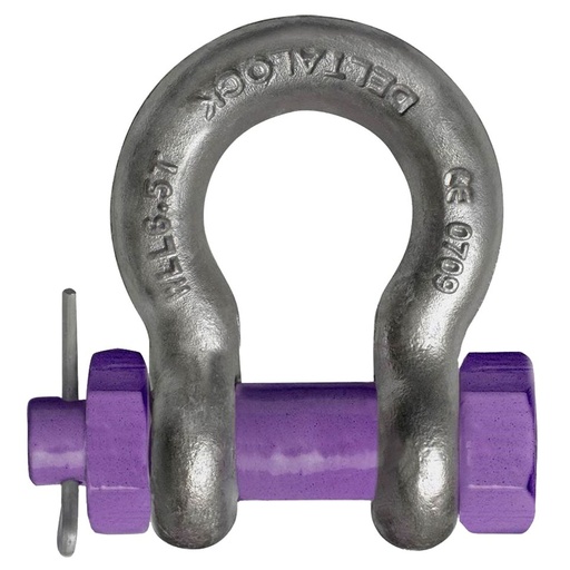 DELTALOCK Manilles lyres à axe boulonné goupillée  DELTA 1T a 55T
