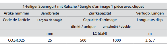 DELTASLING Sangle d'arrimage 1 pièce avec cliquet