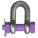 DELTALOCK Bolt type chain schakles DELTA 1T to 55T