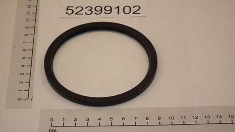 [LK51001071] DEMAG Oil seal   86 X100,5X6 NB