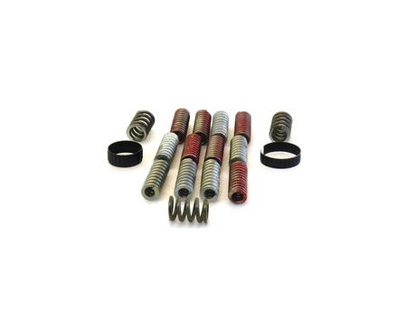 [LK51002024] DEMAG Brake spring set  B280 