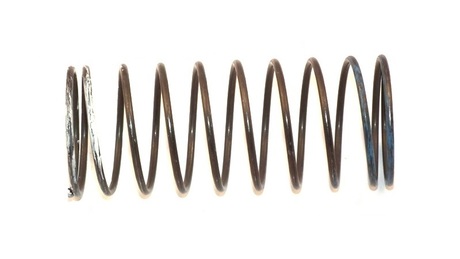 [LK51005954] DEMAG Pressure spring  2,5 x40,5 x110 WSBL    55