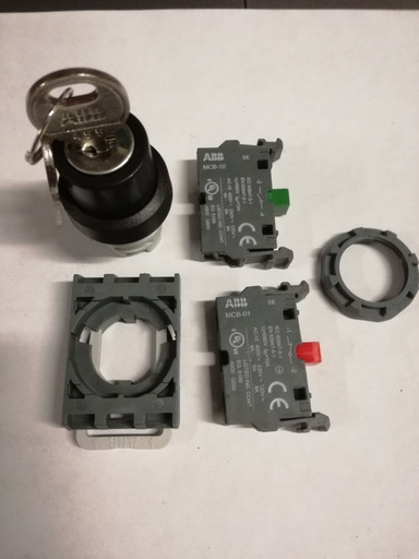 [LK51016819] DEMAG Key-operated switch 